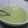 みつばちちゃげ's cooksnap of when they made クリスマススープ？（ほうれん草と里芋）.