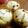 cotton777's cooksnap of when they made しっとりバナナマフィン.