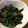 上杉景's cooksnap of when they made モロヘイヤのおひたし.