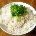 ♡Koshi♡'s cooksnap of when they made ♪梅干しごはん♪.
