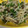 yu_no_mama's cooksnap of when they made ちゃちゃっと！モヤシとピーマン炒め！.