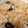 こつぶのおかあちゃま's cooksnap of when they made しじみの炊き込みご飯.