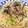 たまご焼き。's cooksnap of when they made 簡単！梅とツナとしその和風パスタ☆.