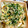 はづたけ's cooksnap of when they made オカヒジキとエノキのおひたし.