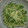 おやきまま's cooksnap of when they made 簡単！みょうが＆きゅうりのポン酢和え♪.