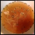 ayaly＊'s cooksnap of when they made もやしとベーコンのスープ.