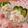 赤い電話's cooksnap of when they made 長いもの和風ポテトサラダ.