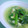 こひよこ's cooksnap of when they made 小松菜とエノキで中華スープ.