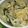 菜果志's cooksnap of when they made 簡単★時短！新玉ねぎとアスパラのチーズ焼.