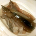 82tarou's cooksnap of when they made いかのさばき方.