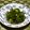 meg115's cooksnap of when they made おかひじき・ひじきの塩昆布梅胡麻和え.