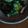 ぴいかん's cooksnap of when they made すし酢で簡単♪うざく.