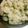 かひりちゃん's cooksnap of when they made ちょっとひと手間　大根葉ご飯.