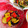みつみ0112's cooksnap of when they made 野菜の揚げ浸し.
