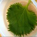 リオナーダ's cooksnap of when they made 簡単♪大葉の保存.