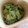 はぁ♡'s cooksnap of when they made ＊きゅうりとレタスの即席お漬け物＊.