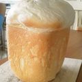 ayafuyu's cooksnap of when they made HB★塩麹の早焼きシンプルパン.