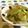 ともまき０３１３'s cooksnap of when they made 自家製きゅうりの漬物.