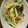 たまcook's cooksnap of when they made きゅうりともやしで簡単ナムル.