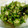 rr's cooksnap of when they made 簡単✿オクラときざみ昆布の和え物.