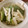 涼ママらぐまん's cooksnap of when they made さしみこんにゃくと長芋の和風サラダ.
