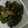 ぶーたーこー's cooksnap of when they made 茄子とピーマンの揚げ浸し.