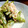 あつみ。。's cooksnap of when they made いんげんとツナの簡単！ゴマ和え.
