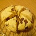 ローさん's cooksnap of when they made ＊おからｽｺｰﾝ＊.