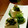 cocoりえ's cooksnap of when they made アサツキとみょうが漬け.