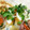 沙耶2499's cooksnap of when they made お弁当に♪ちくわとかいわれの簡単レシピ☆.