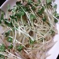 かずり♪'s cooksnap of when they made 簡単♪もやしのピリ辛和え.