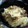 サルバ閣下's cooksnap of when they made たまごがとろとろ牛丼.