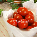 bobitin's cooksnap of when they made ミニトマトの便利な保存法.
