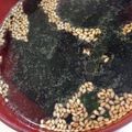 リルミン's cooksnap of when they made お湯を注ぐだけ！お1人様中華わかめスープ.