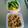 ランランフクちゃん's cooksnap of when they made しっとり♪味染み鶏そぼろ♪.