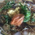 amy108's cooksnap of when they made 夏野菜そうめん.