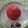 ラリー＆サラ's cooksnap of when they made 簡単に☆トマトの皮むきと種取り.