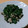 pokala's cooksnap of when they made 主菜に！モロヘイヤと豚肉の柚子胡椒和え.