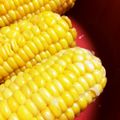 ｼｭｳｼｭｳ's cooksnap of when they made 簡単☆とうもろこしはレンジでチン.