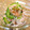 あけちゃんち。's cooksnap of when they made ゴーヤとささみの梅おろし和え.