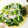 たっちっち☆'s cooksnap of when they made 簡単ちりめんじゃこと小松菜の煮浸し.