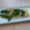 きらり流れ星's cooksnap of when they made 油揚げ゜+｡ししとう焼き.