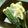 Satoco❋'s cooksnap of when they made 簡単もう１品☆オクラのレモン塩麹浅漬.