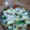 kitchenタマ1's cooksnap of when they made 簡単♡新じゃがと新玉ねぎのアンチョビ炒め.
