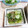 ＴＯＭＯＷＡＴ's cooksnap of when they made きゅうりとみょうが・大葉の酢のもの♪.