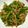 kcodiva's cooksnap of when they made 青椒肉絲.