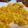 KEIKO119's cooksnap of when they made コーンのサッと焼き.
