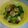 ayapancer's cooksnap of when they made エビとアボカドのソテー.