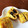 トマトlv's cooksnap of when they made スイーツのような卵焼き☆.