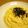 max4995's cooksnap of when they made 白だしで！簡単♪和風ペペロンチーノ.